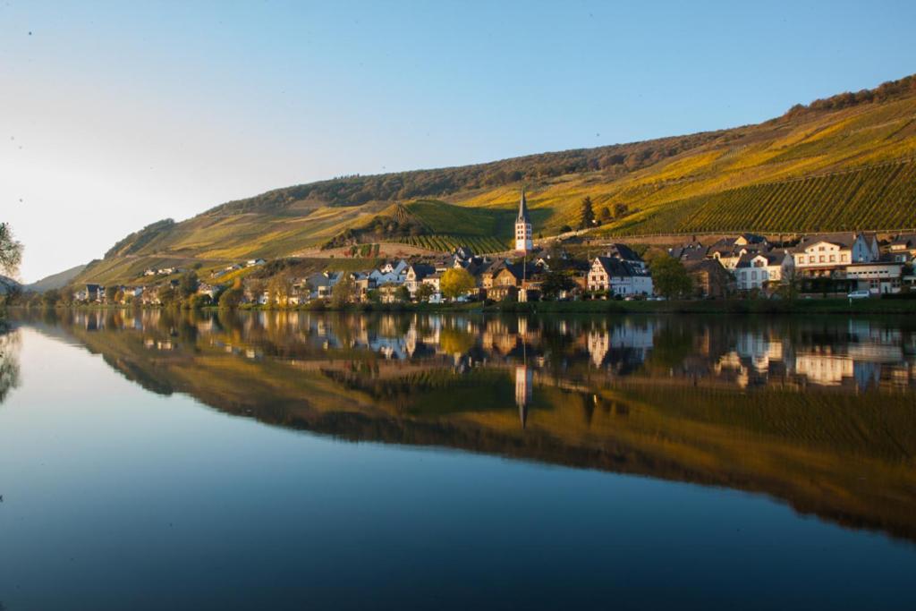 Das Haus In Spay An Der Mosel Mit Sauna Zell an der Mosel Εξωτερικό φωτογραφία